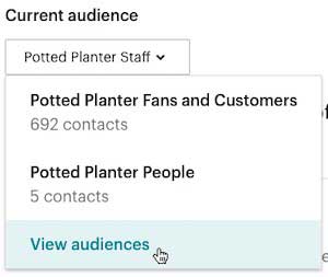 mailchimp-view audience